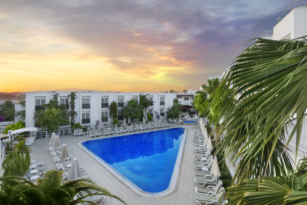Club Shark Hotel