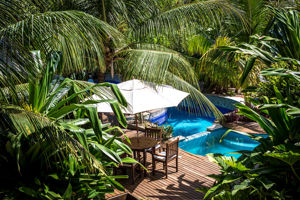 Spa Floresta Sombra e Agua Fresca