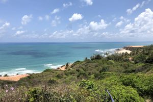 Spa Floresta Sombra e Agua Fresca