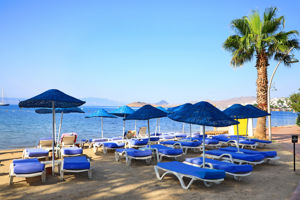 Summer Garden Suites & Beach