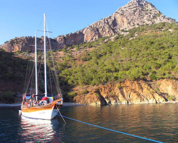 Blue Cruise & Terrace Elite — 2