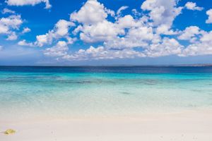 Fly & Go Corallium Hotel & Villas Bonaire