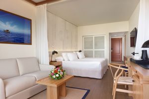 Woonvoorbeeld superiorkamer