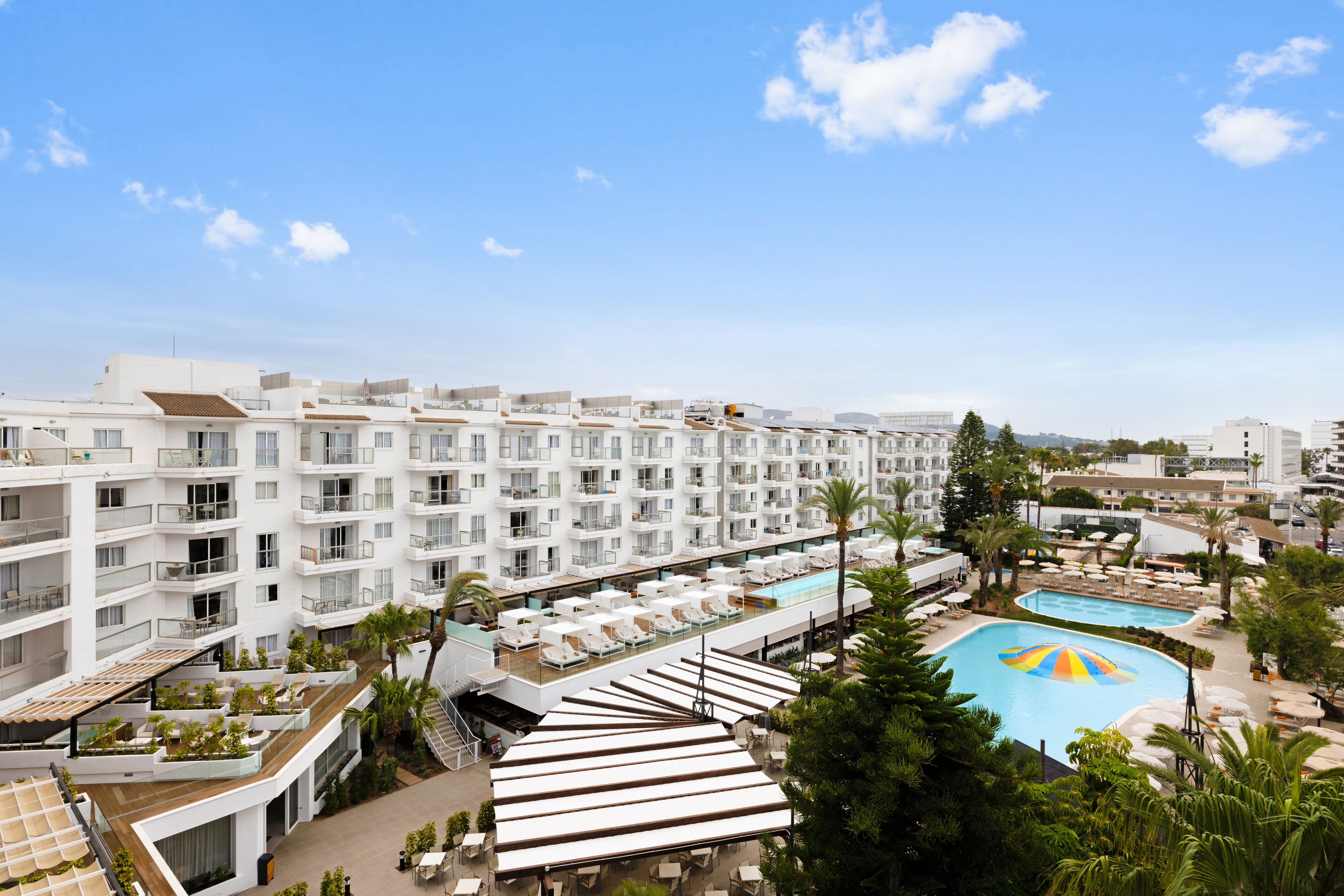 Viva Sunrise - billede 3