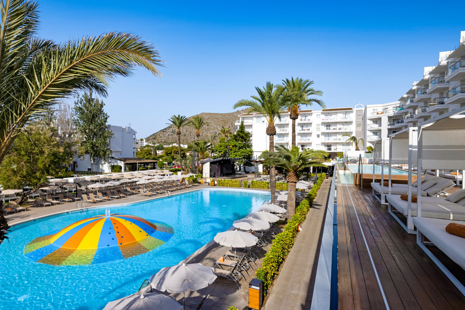 Viva Sunrise billede 4