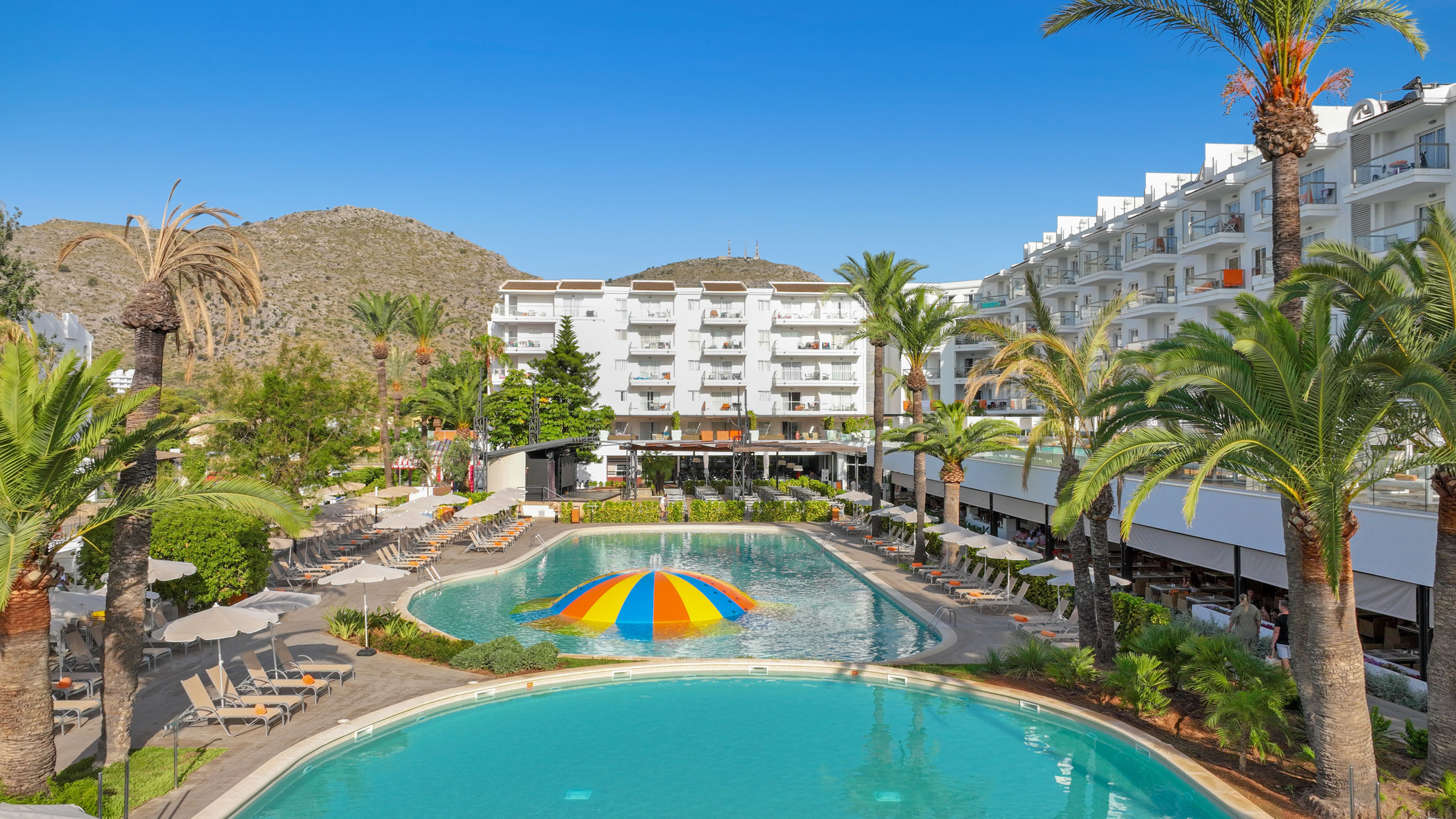 Viva Sunrise - billede 5