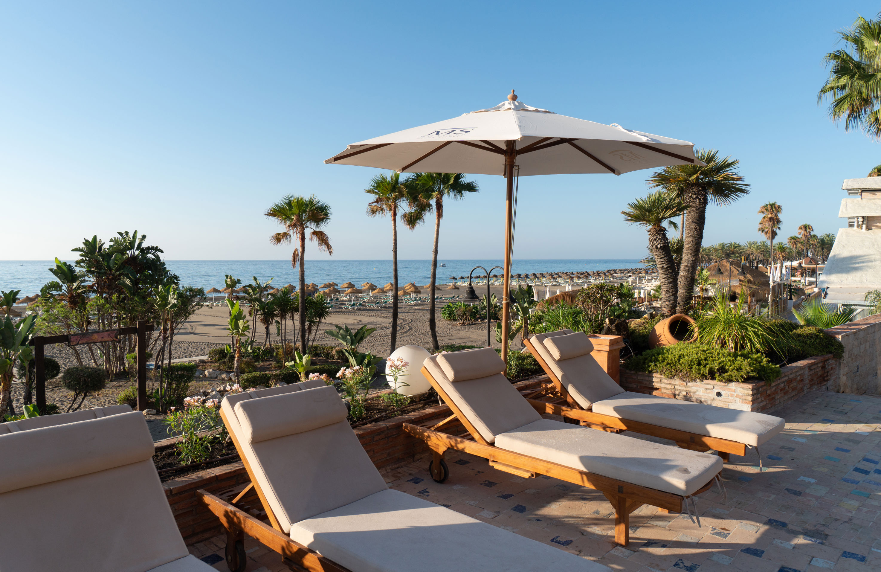 MS Amaragua