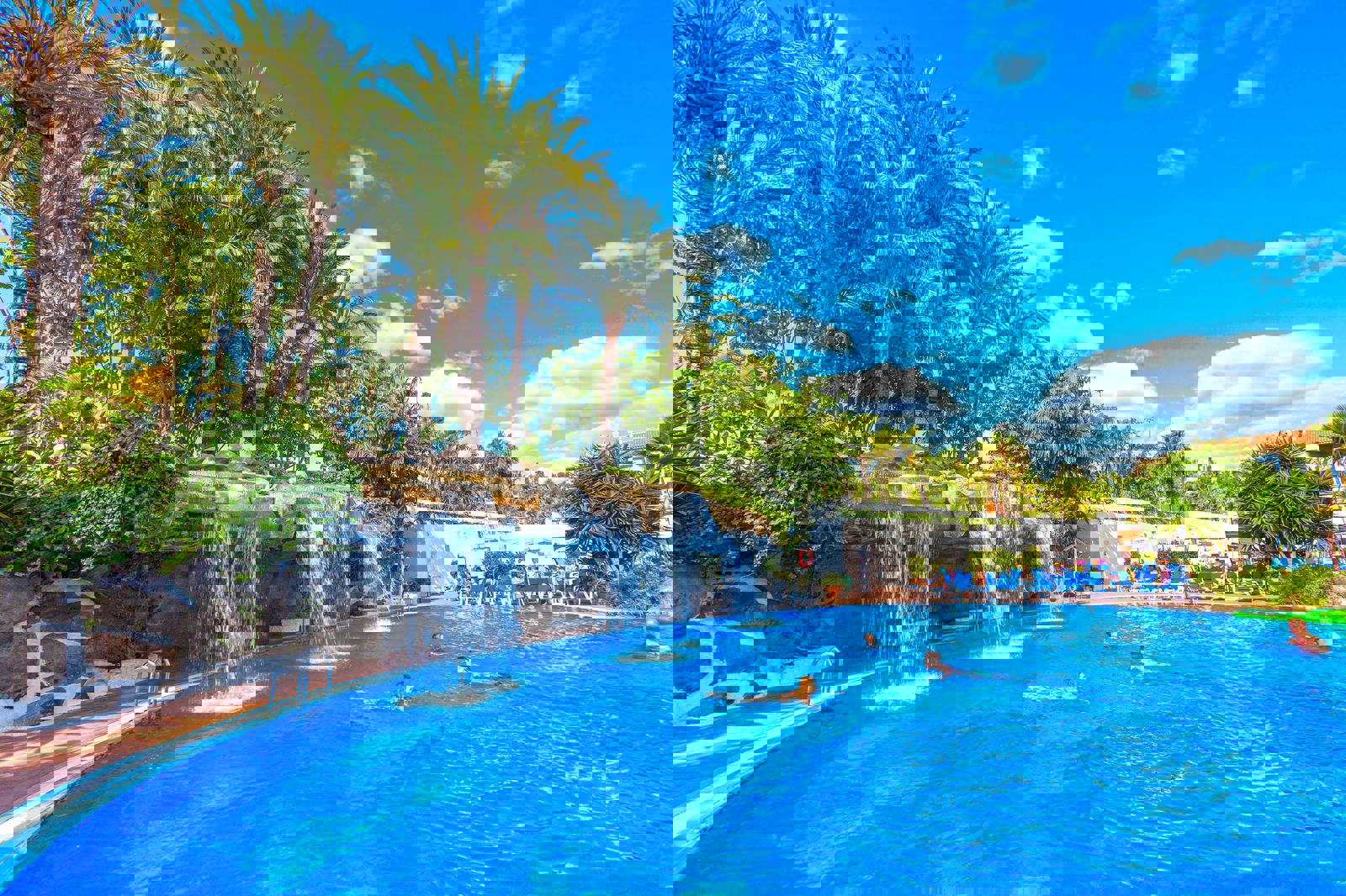 Best Tenerife billede 4