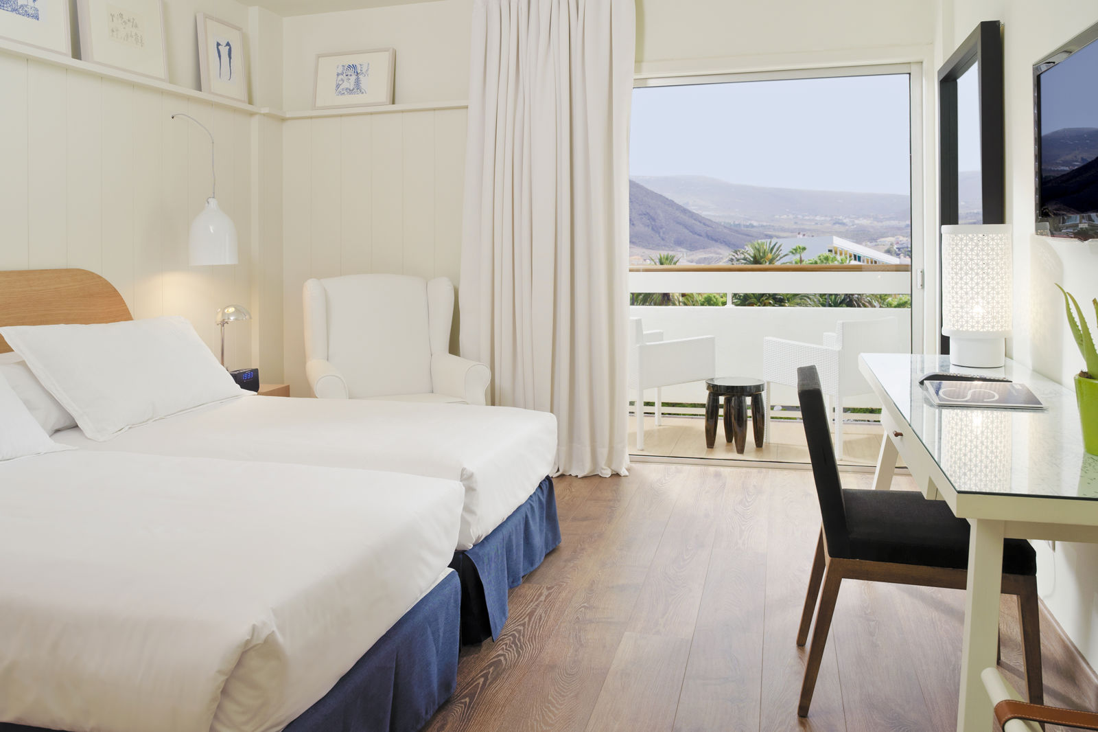 H10 Big Sur billede 5