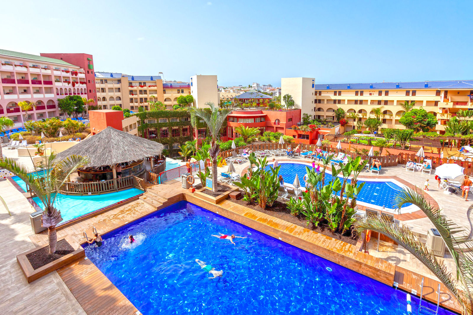 Best Jacaranda - hovedbillede