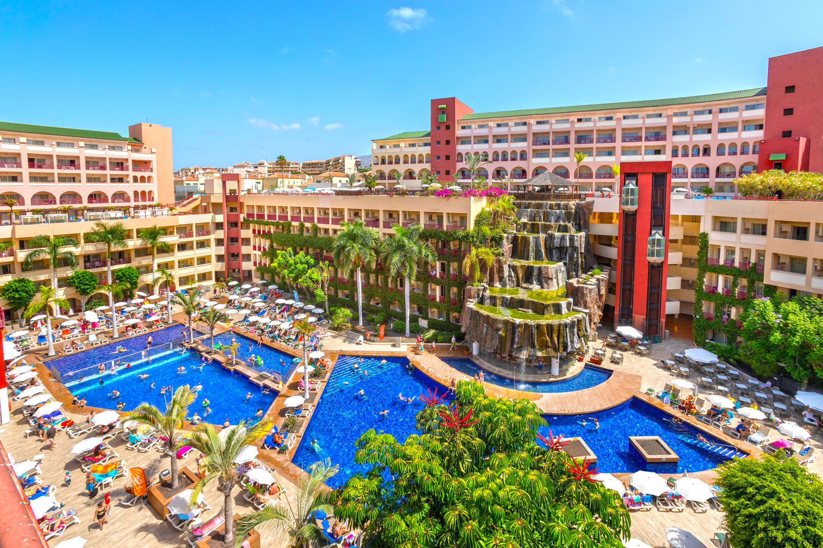 Best Jacaranda billede 2