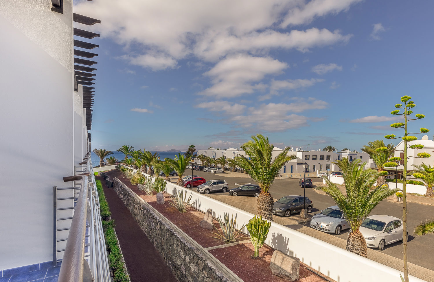 THe Mirador Papagayo