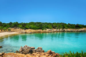 Blue Cruise & Labranda TMT Bodrum Resort