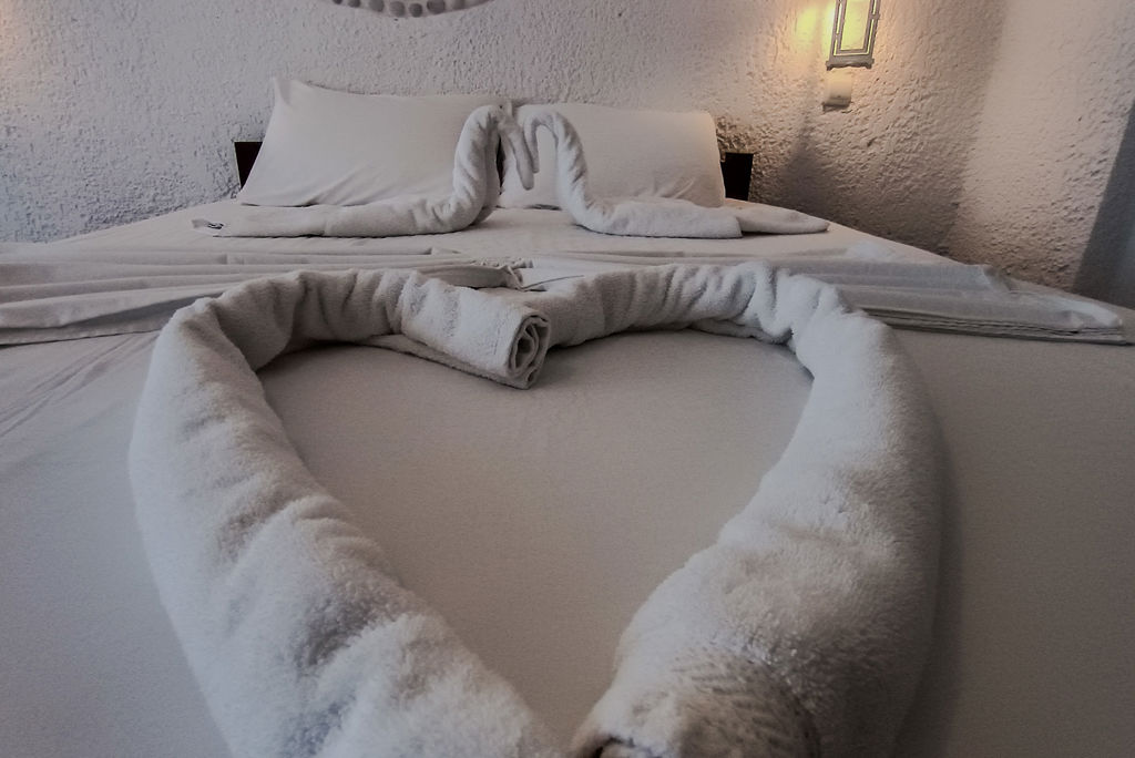 Anema Hotel foto 5
