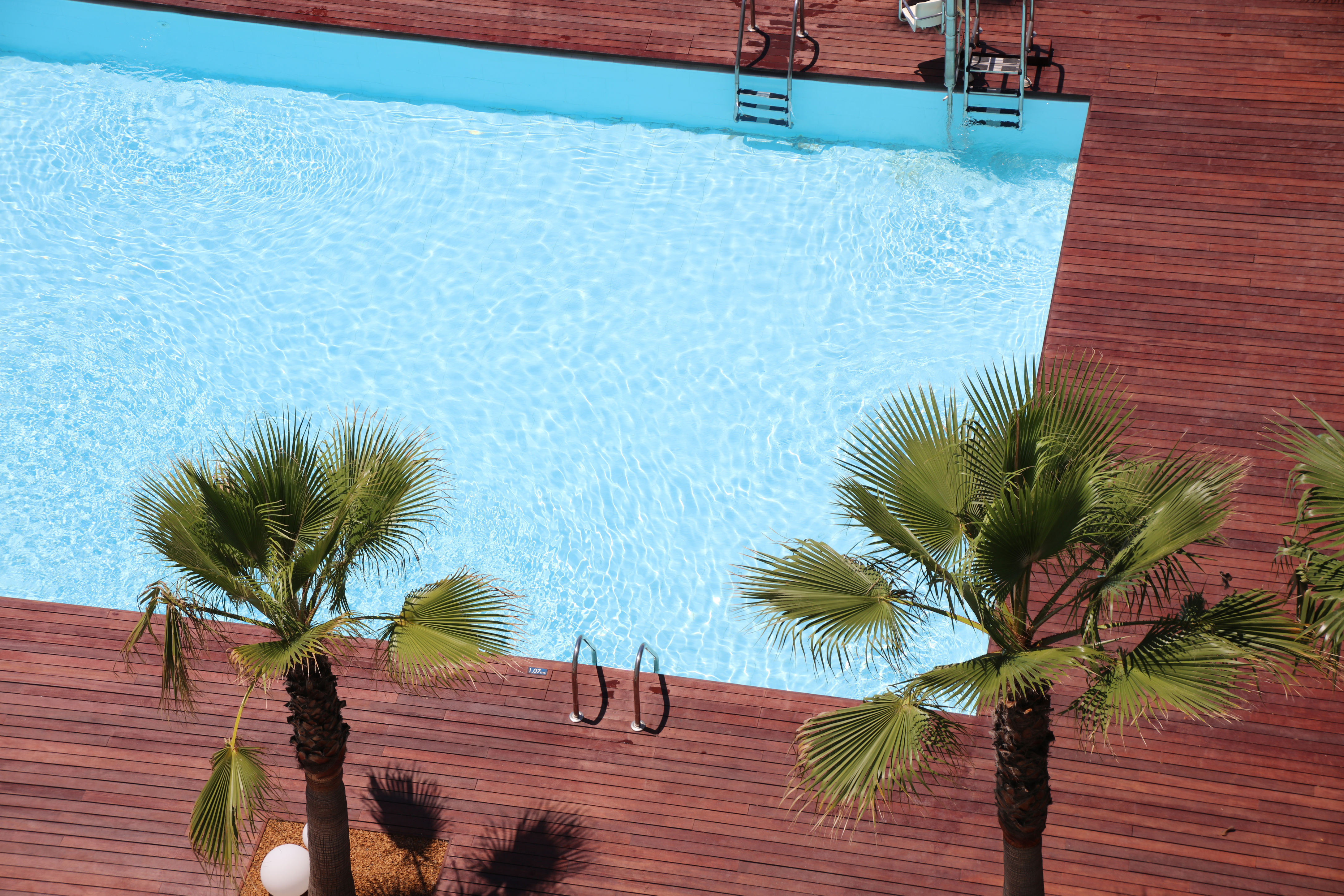 Iberostar Waves Bahia de Palma - billede 5