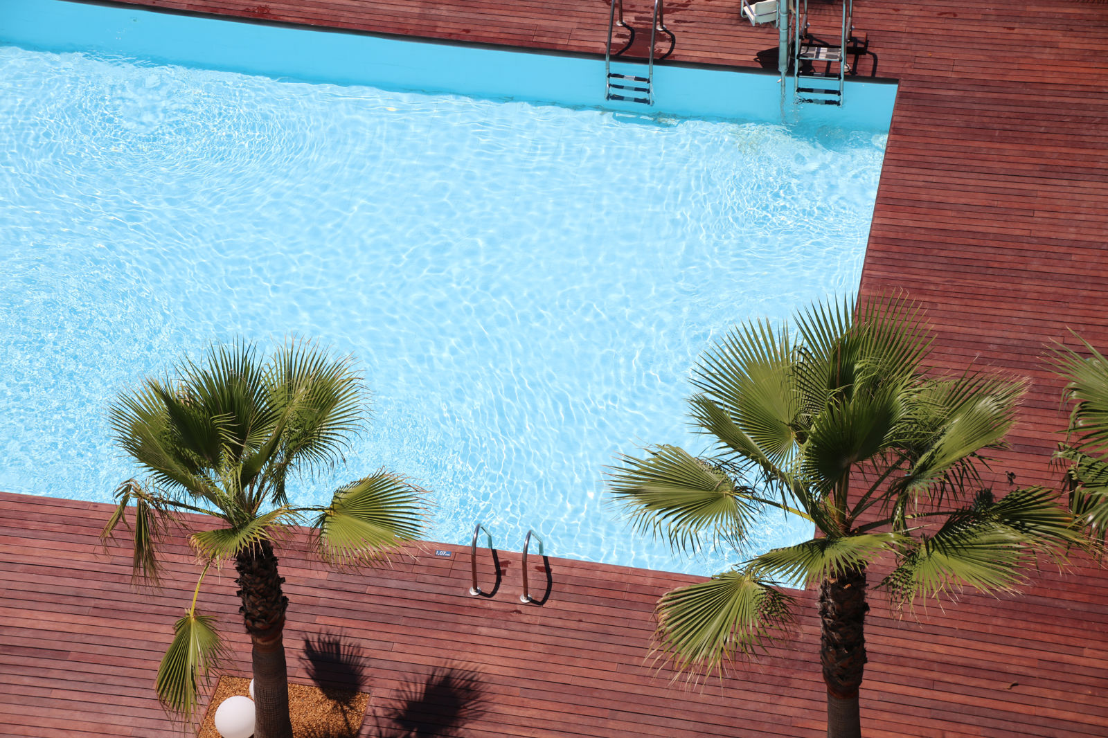 Iberostar Waves Bahia de Palma billede 5