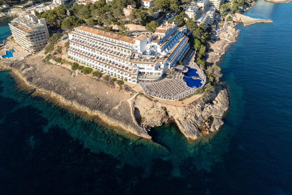 Sentido Fido Punta del Mar