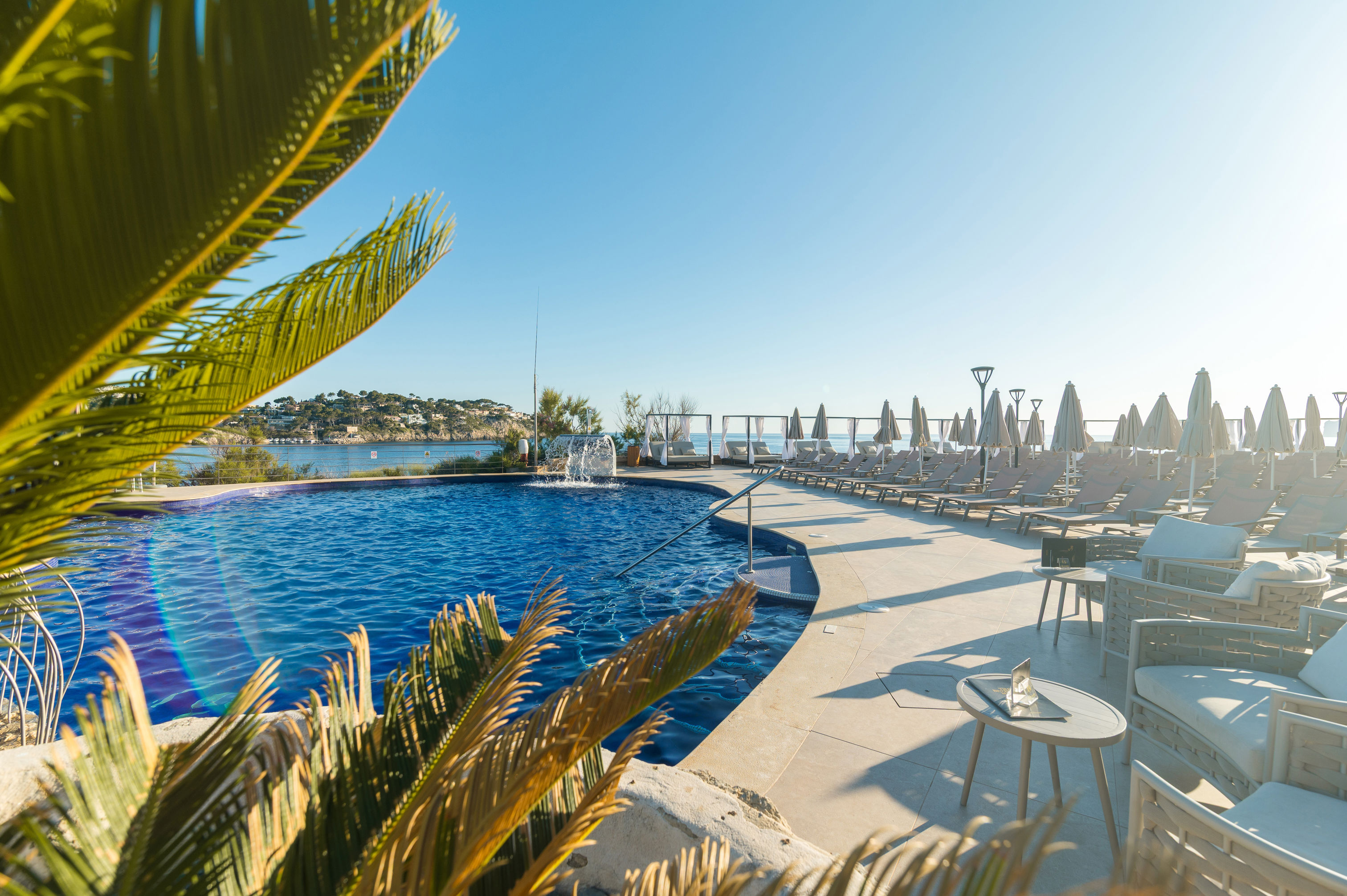 Sentido Fido Punta del Mar