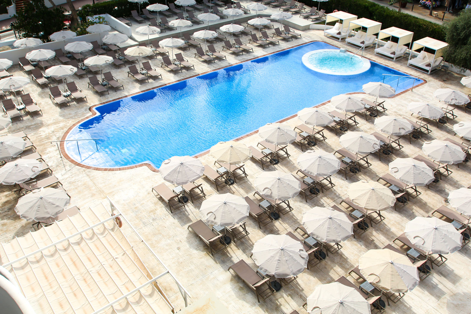 Sentido Fido Tucan billede 2