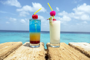 The Palm Beach Bar