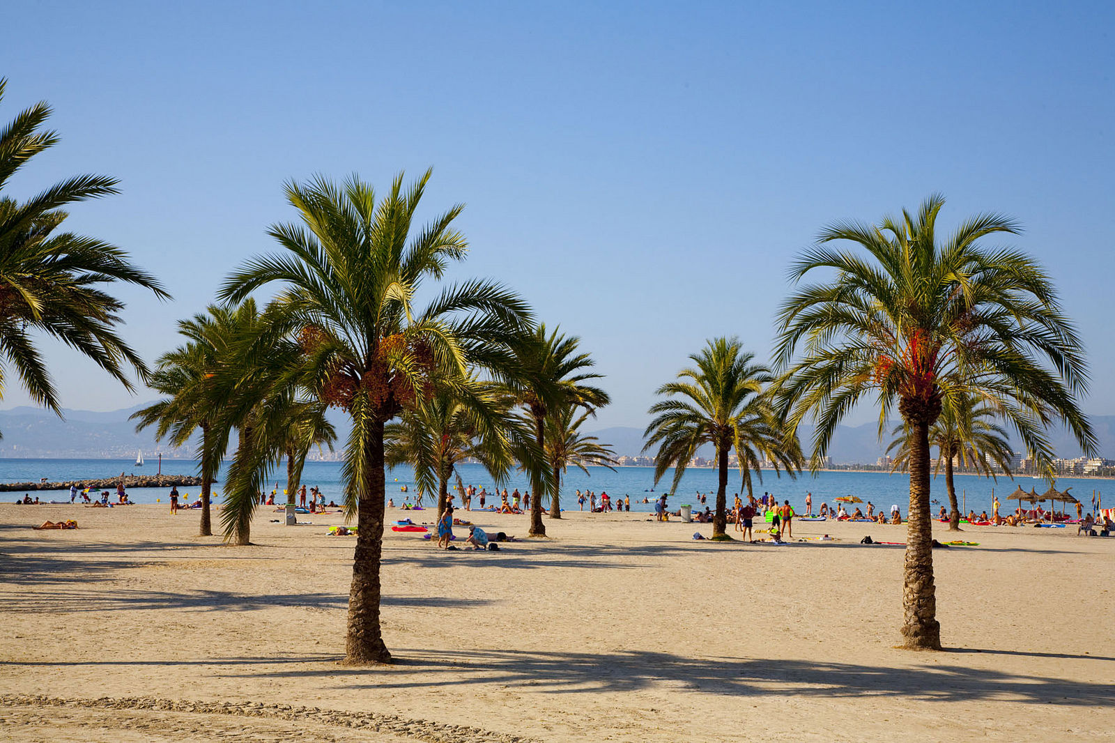 Whala Beach - billede 4