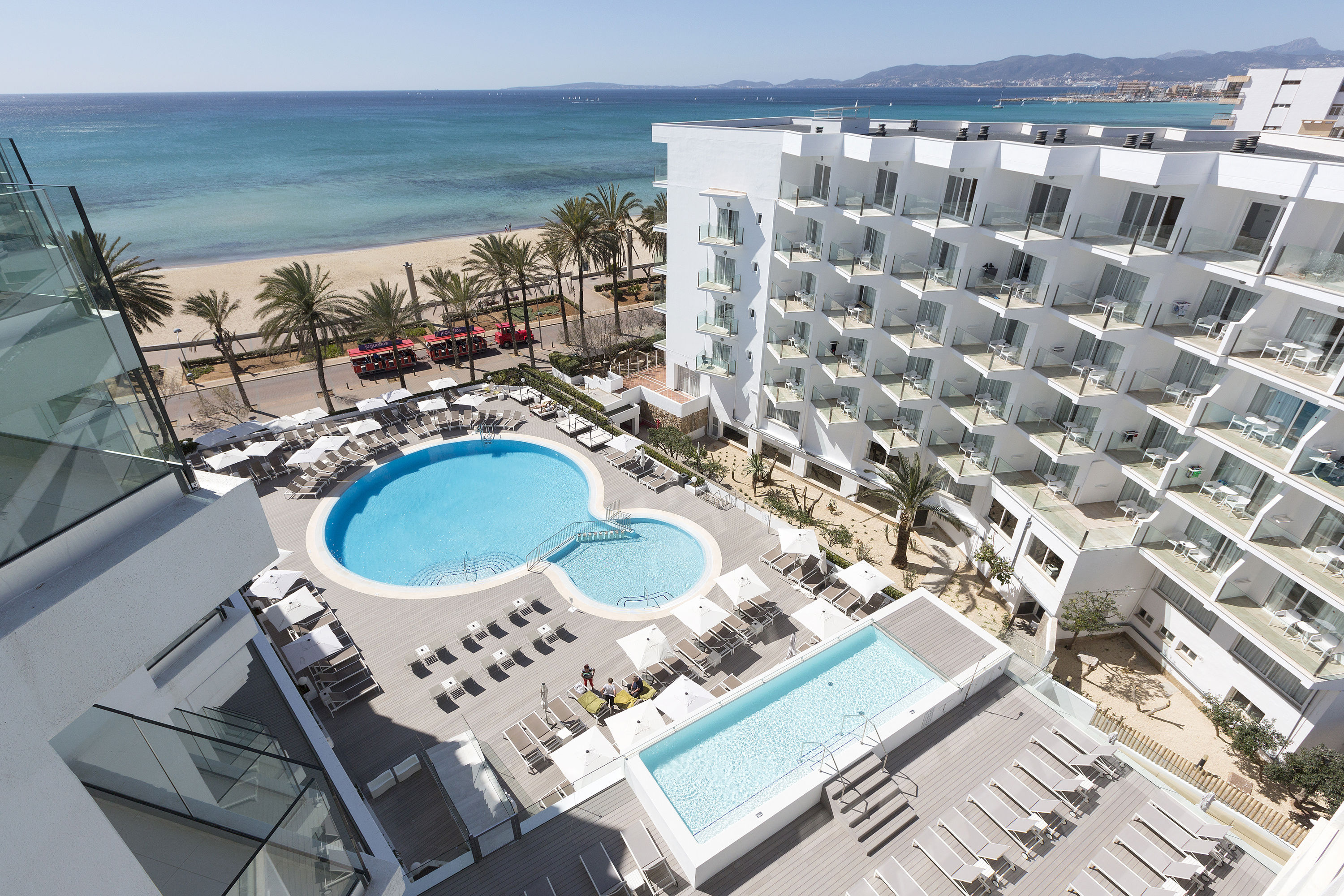 HM Tropical - billede 3