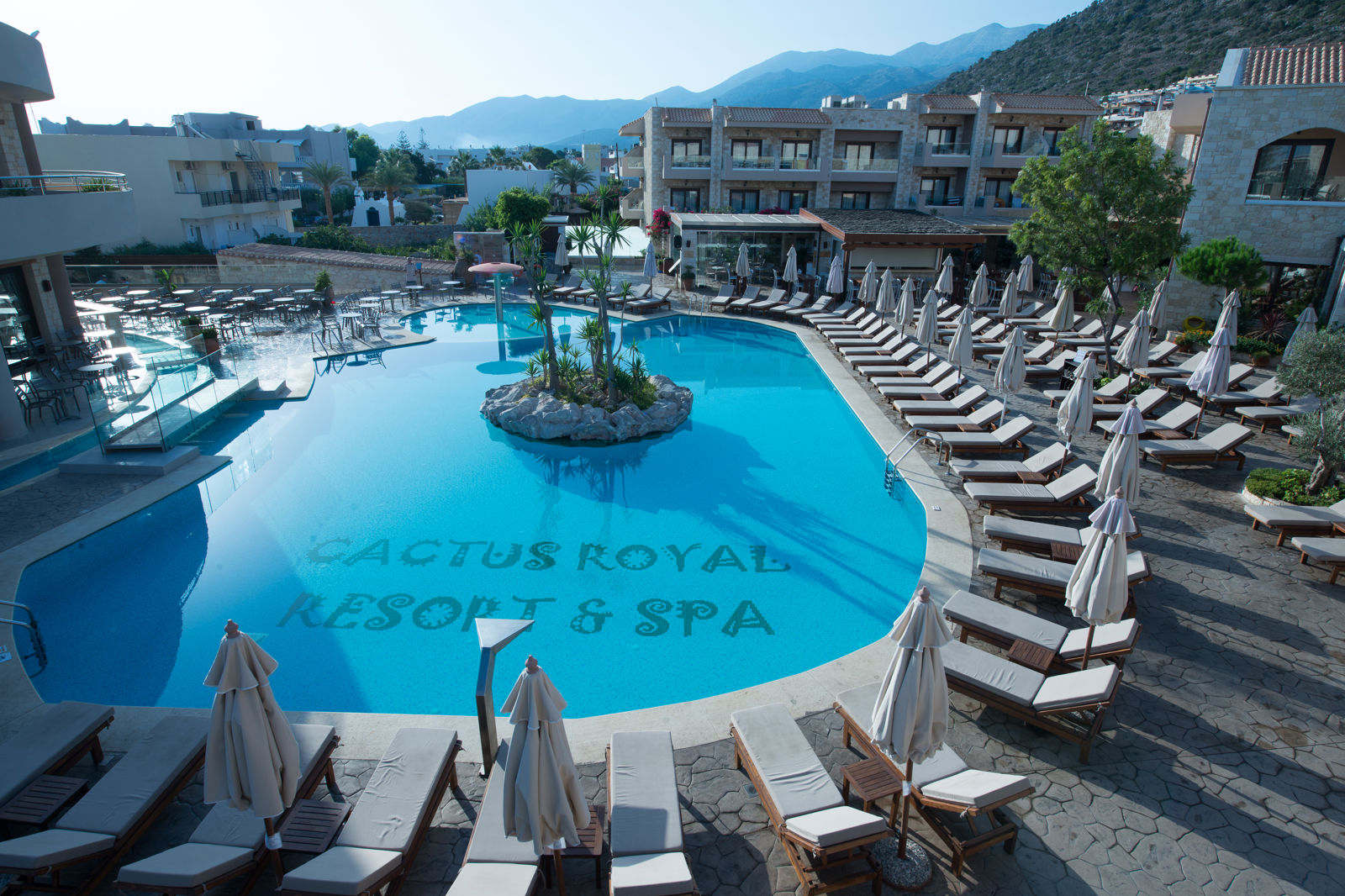 Cactus Royal billede 2
