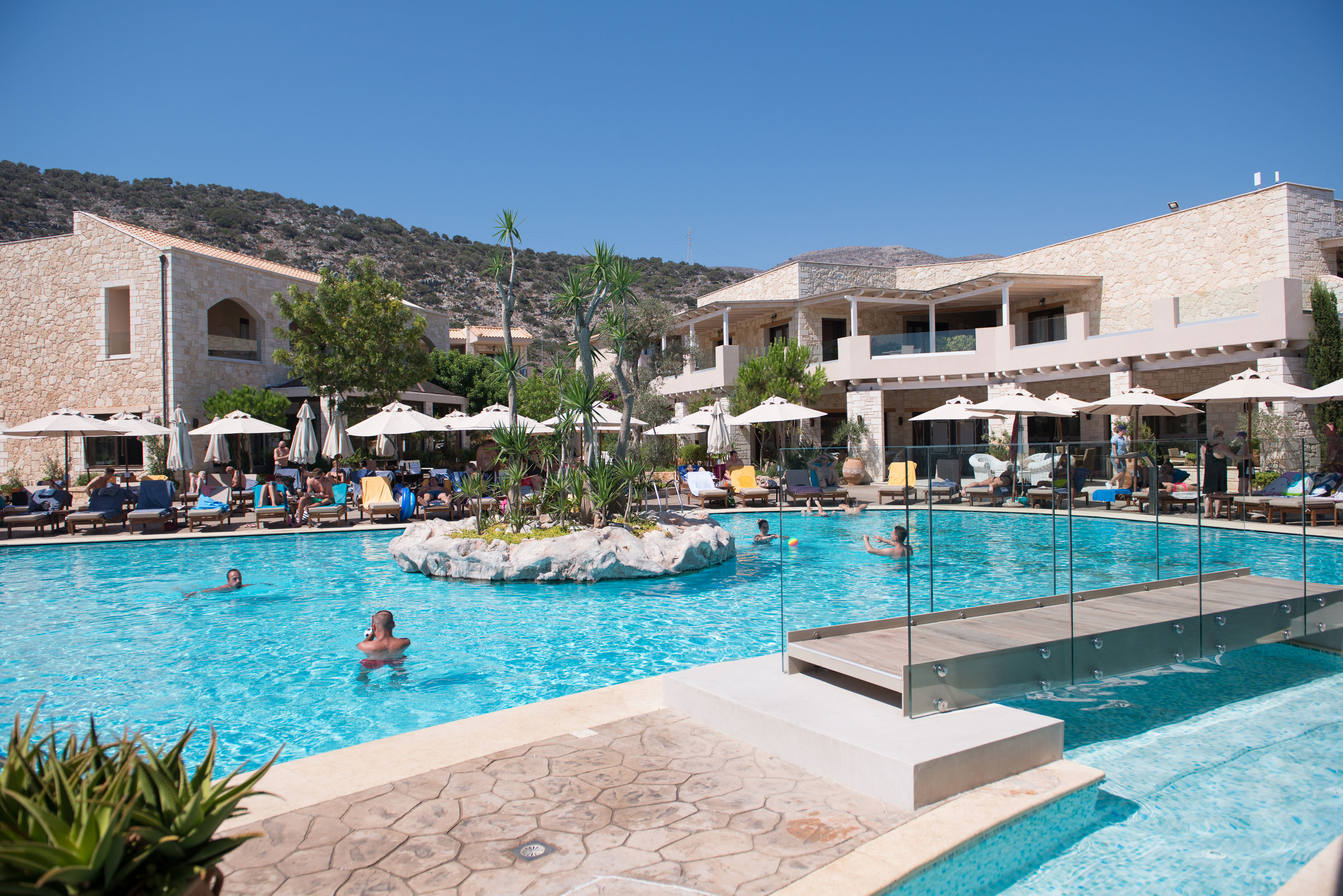 Cactus Royal - billede 3