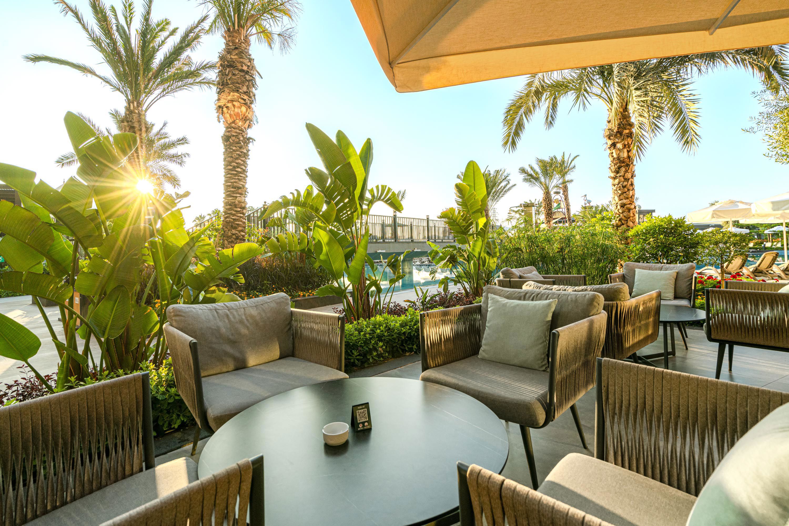 Kirman Premium Calyptus - billede 5