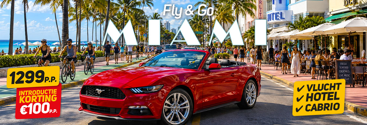 Miami Mustang Experience