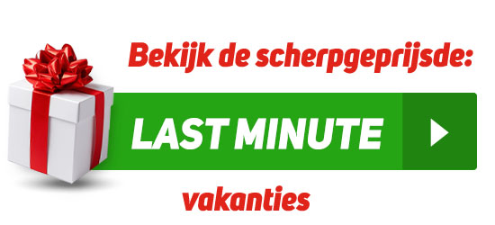 Nog geen vakantieplannen? Nu wel!