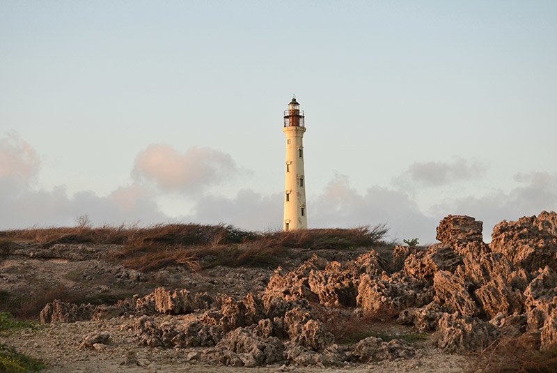 Aruba 6