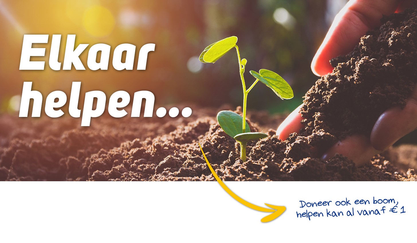 Doneer nu en plant een boom