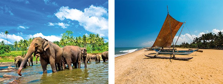 Minirondreis Sri Lanka