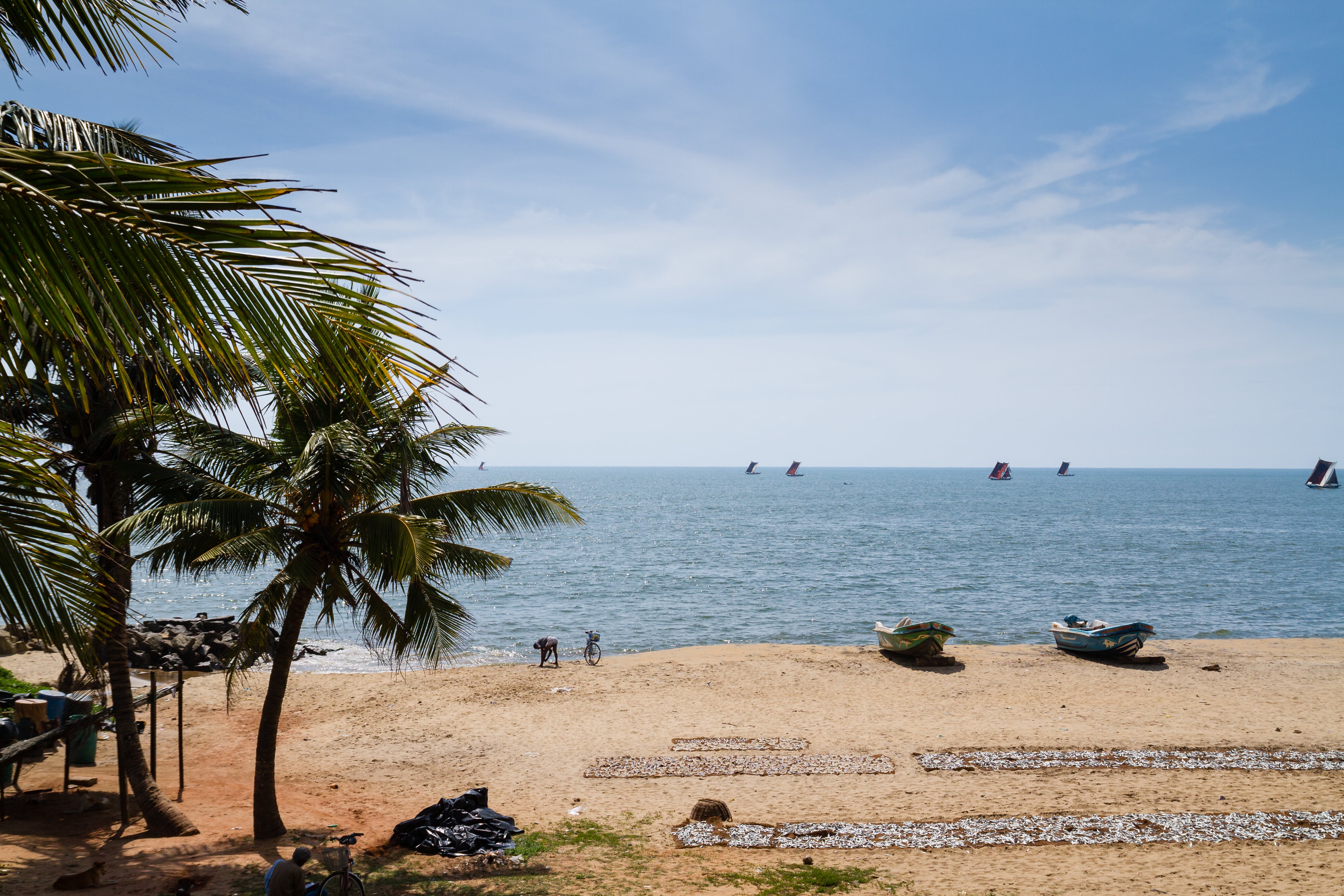 
			Colombo - Negombo oder Marawila (ca. 65 KM)
			
