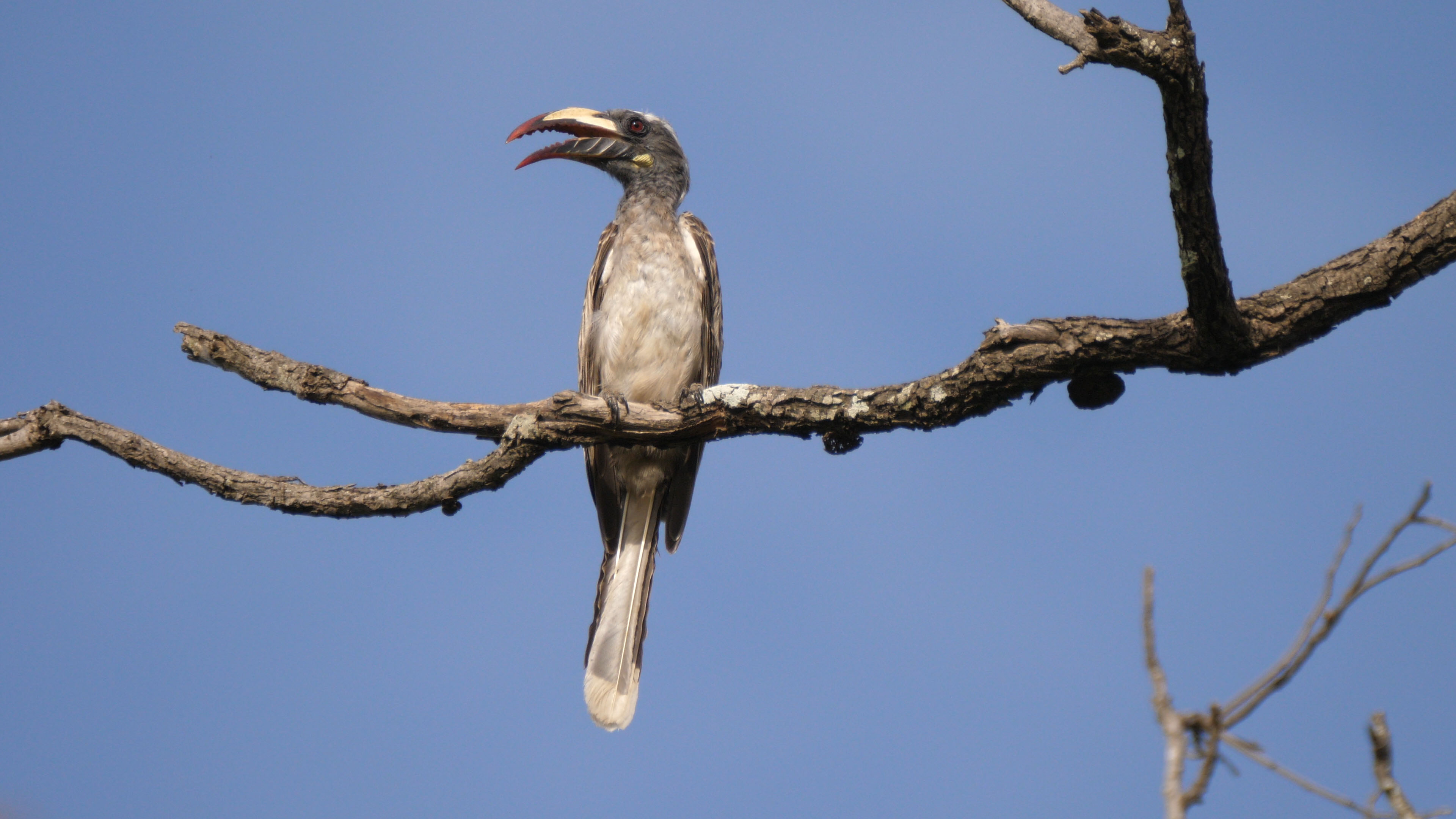 

Safari in Kiang West – Tendaba Camp

