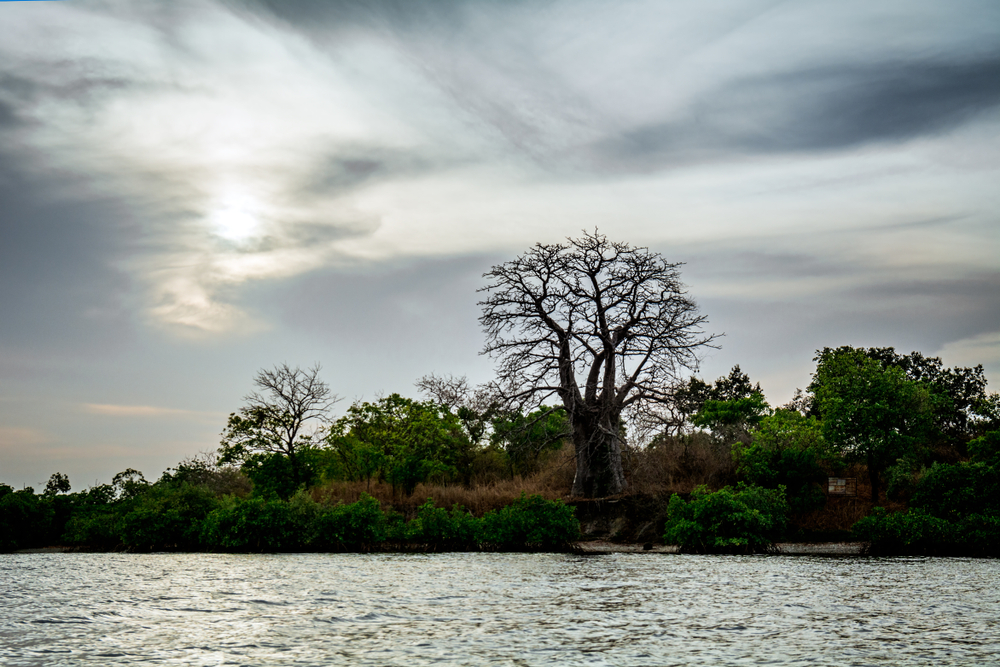 

Wassu en Toubacouta, Senegal


