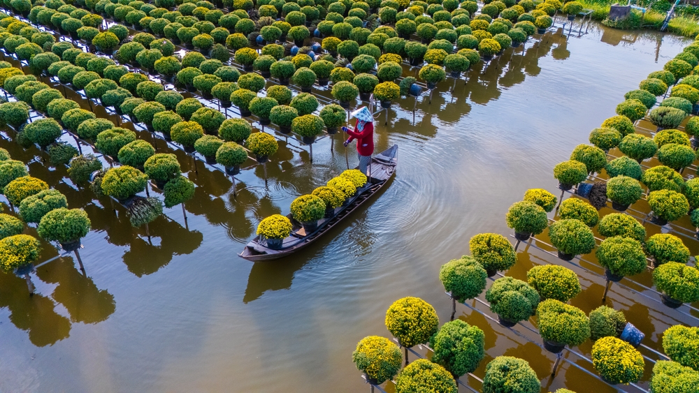 
Mekongdelta dagtour
